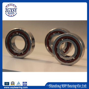 Automotive Bearing Angular Contace Ball Bearing